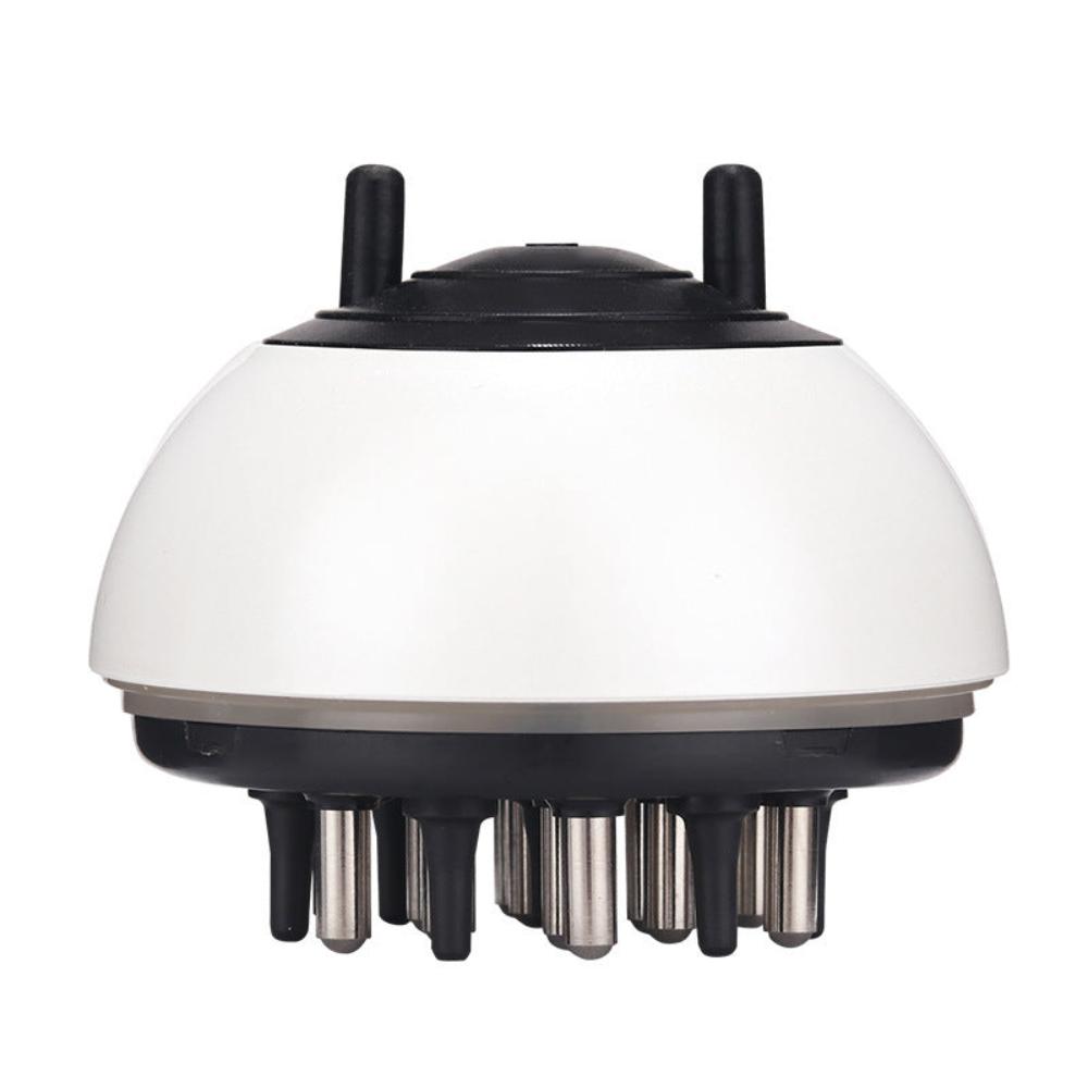 Scalp Brushe and Hair Oil Applicator