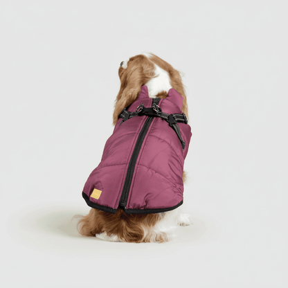 Fleece Lined Dog Coat Waterproof Cold Weather Pet Jacket