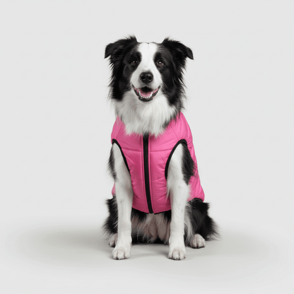 Fleece Lined Dog Coat Waterproof Cold Weather Pet Jacket