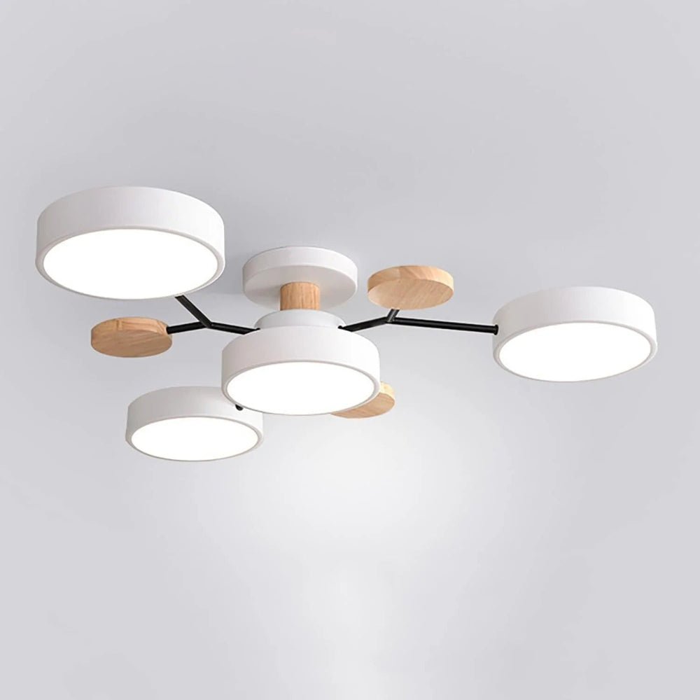 Stylish LED Ceiling Light Fixture Living Room