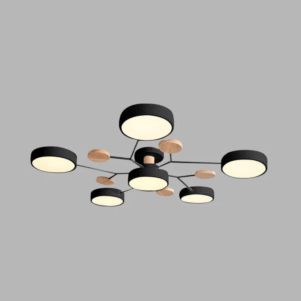 Stylish LED Ceiling Light Fixture Living Room