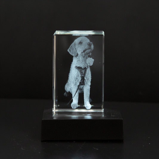 Personalized Crystal Picture Frame Memorial Gift Loved Ones - SweetyGem