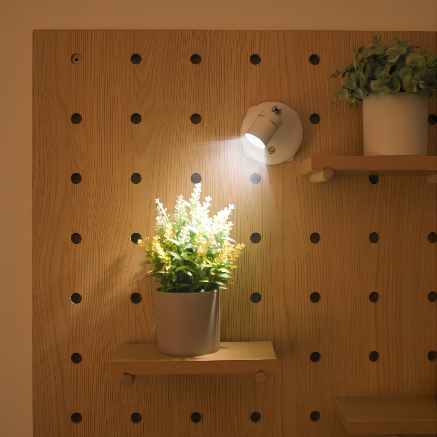 Battery LED Picture Light for Shelf and Wall Decoration - SweetyGem