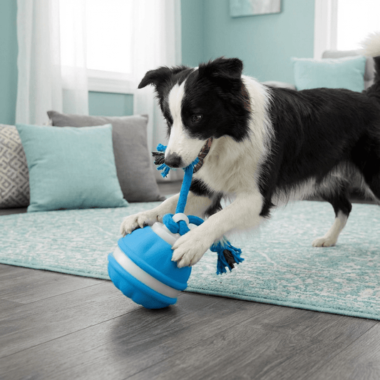 Fun Dog Toy Interactive Tug Rope Toy - SweetyGem