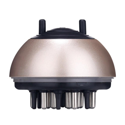 Scalp Brushe and Hair Oil Applicator