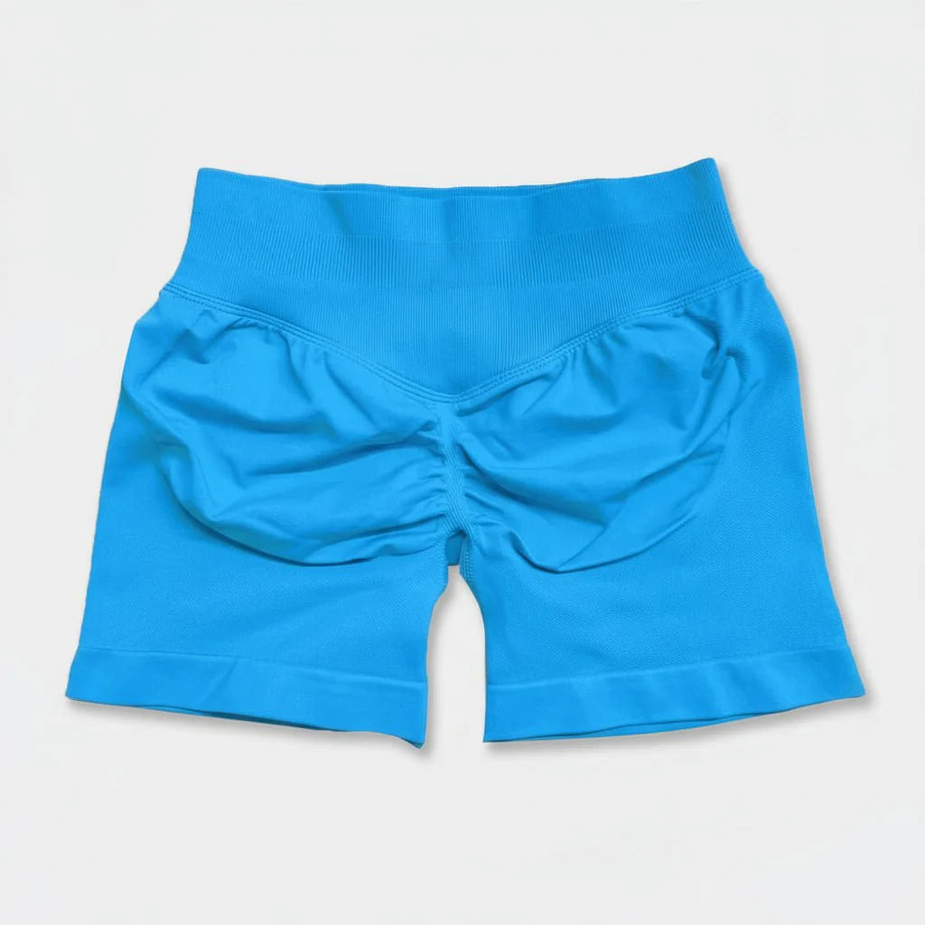 Women's Stretchy High Waist Yoga Gym Shorts