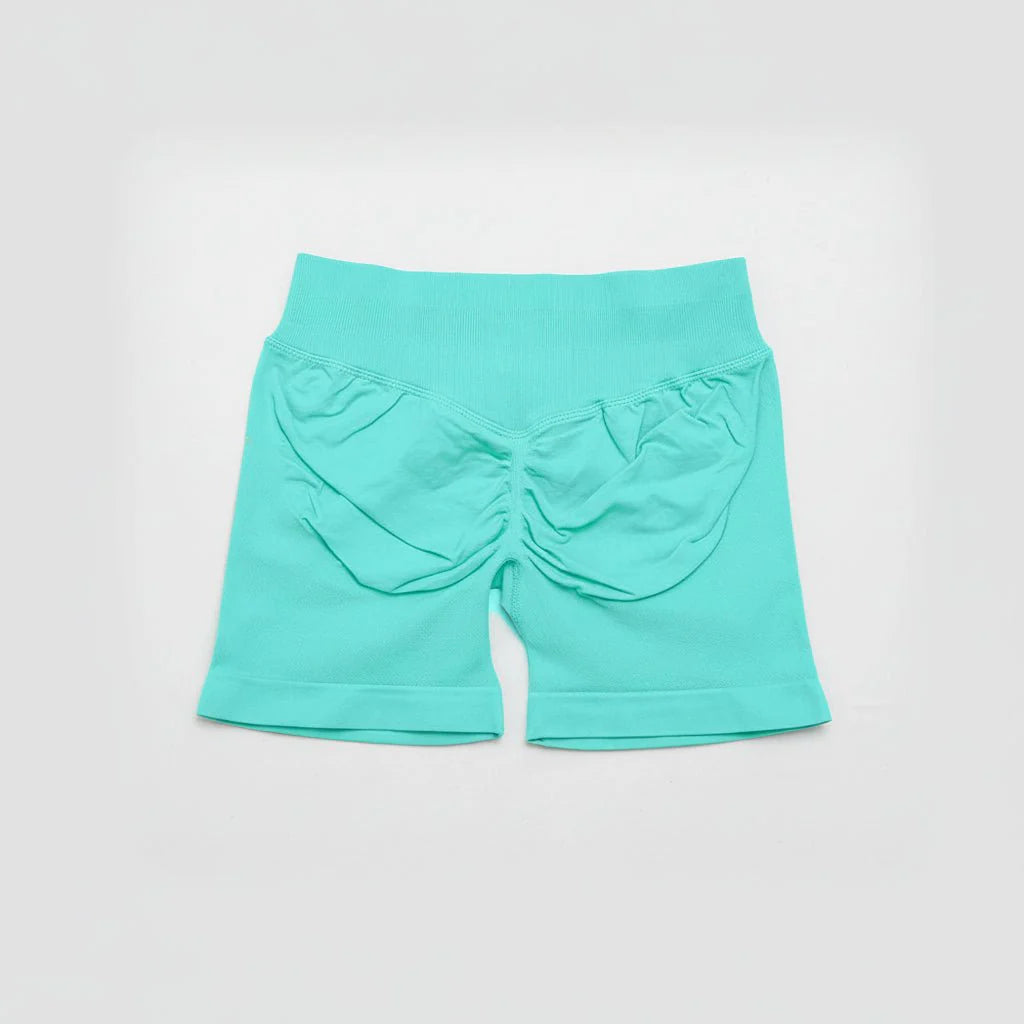 Women's Stretchy High Waist Yoga Gym Shorts