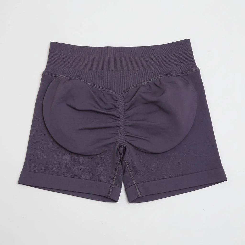 Women's Stretchy High Waist Yoga Gym Shorts