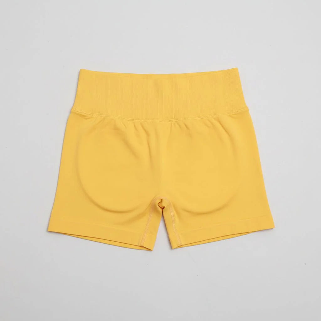 Women's Stretchy High Waist Yoga Gym Shorts