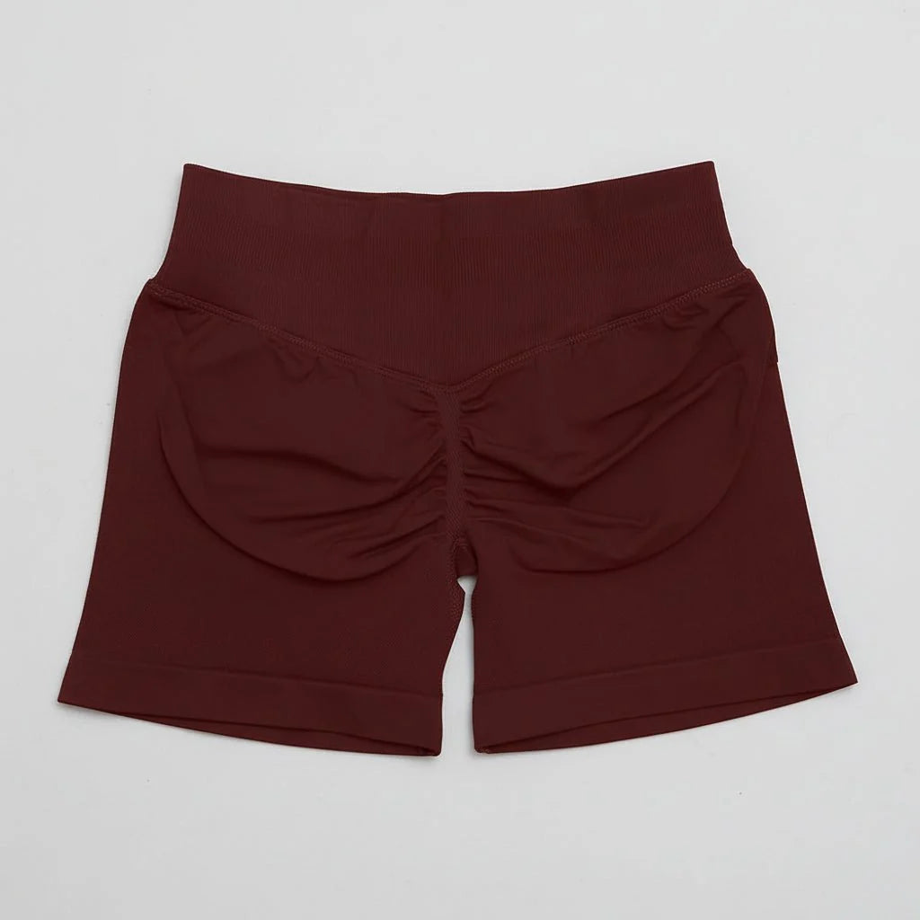 Women's Stretchy High Waist Yoga Gym Shorts