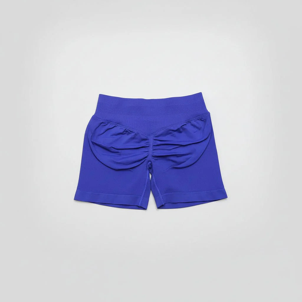 Women's Stretchy High Waist Yoga Gym Shorts