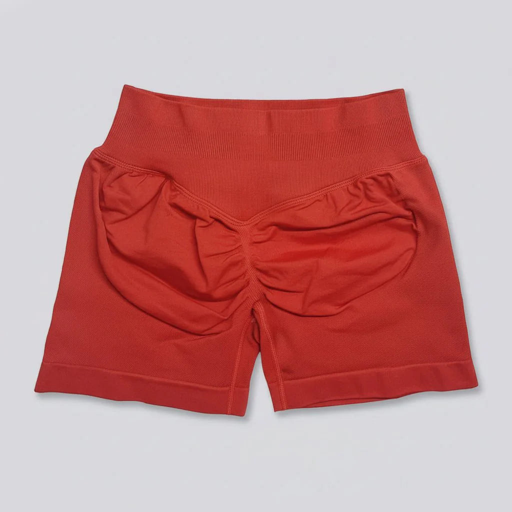 Women's Stretchy High Waist Yoga Gym Shorts