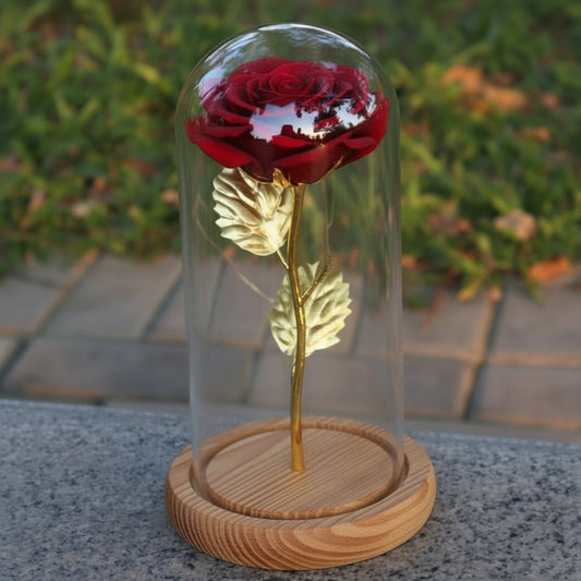 Eternal Rose Glass Table Lamp Wooden Stand - SweetyGem
